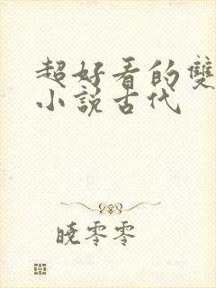 超好看的双男主小说古代