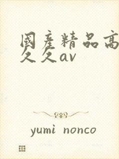 国产精品高潮久久久av