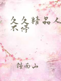 久久精品人妻操不停