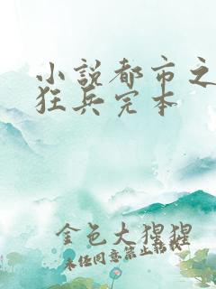 小说都市之最强狂兵完本