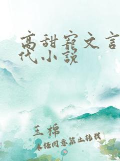 高甜宠文言情现代小说