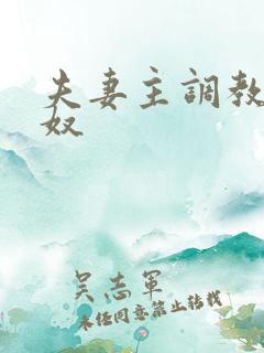 夫妻主调教夫妻奴