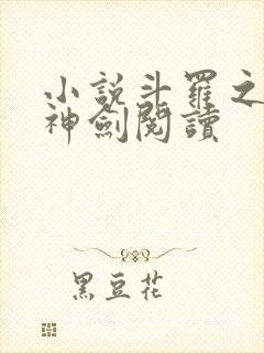 小说斗罗之灵珠神剑阅读