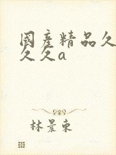 国产精品久久久久久a