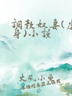 调教奴妻(虐女身)小说