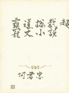 霸道总裁超甜肉宠文小说