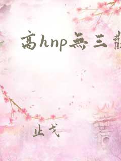 高hnp无三观