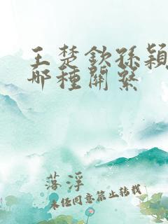 王楚钦孙颖莎是哪种关系