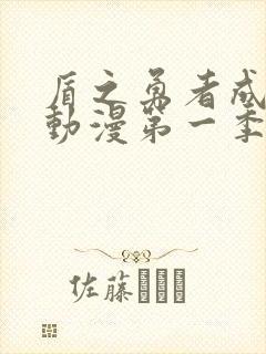 盾之勇者成名录动漫第一季集