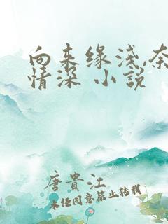 向来缘浅,奈何情深 小说
