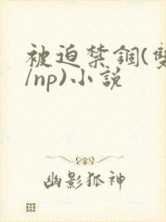 被迫禁锢(双性/np)小说