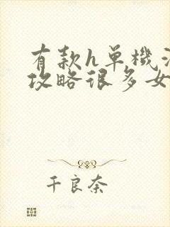 有款h单机游戏攻略很多女的