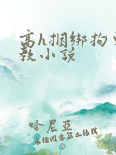 高h捆绑拘束调教小说