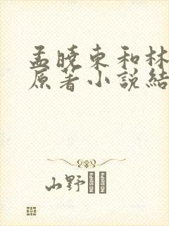 孟晓东和林霖的原著小说结局