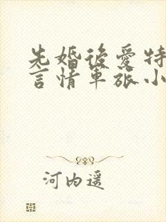 先婚后爱特种兵言情军旅小说