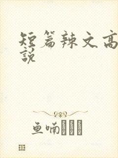 短篇辣文高h小说