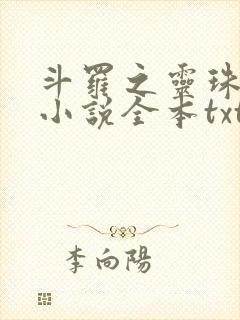 斗罗之灵珠神剑小说全本txt下载