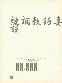 被调教的妻子小说