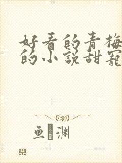 好看的青梅竹马的小说甜宠文