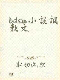 bdsm小说调教文
