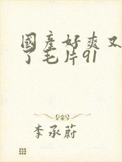 国产好爽又高潮了毛片91