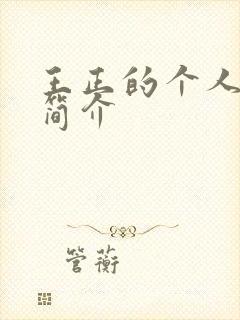 王正的个人资料简介