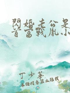 闪婚老公是千亿首富战胤小说最新