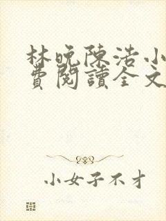 林晚陈浩小说免费阅读全文最新章节