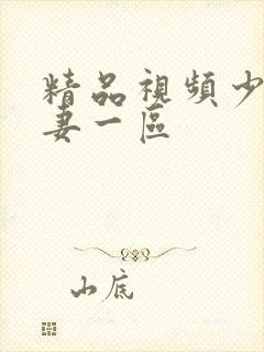 精品视频少妇人妻一区