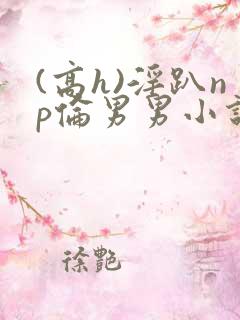 (高h)淫趴np伦男男小说