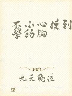 不小心摸到女同学的胸