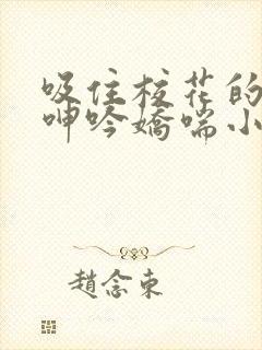 吸住校花的奶头呻吟娇喘小说