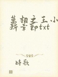 万相之王小说最新章节txt