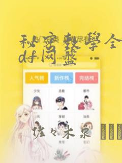 秘密教学全集pdf网盘