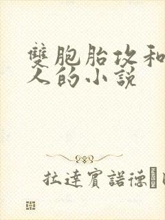 双胞胎攻和受三人的小说