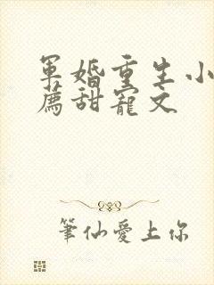 军婚重生小说推荐甜宠文