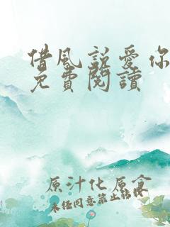 借风说爱你小说免费阅读