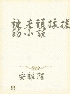 被老头揉搓奶头的小说