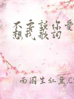 不要说你爱我你想我歌词