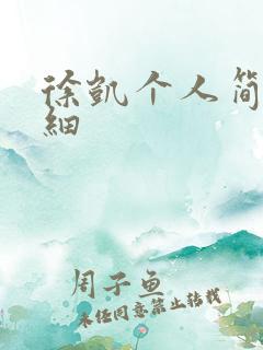 徐凯个人简介详细