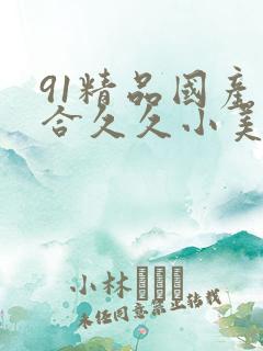 91精品国产综合久久小美女