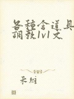 各种含道具高h调教1v1文