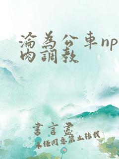 沦为公车np纯肉调教