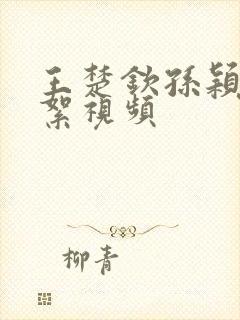 王楚钦孙颖莎花絮视频