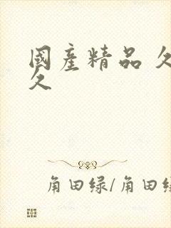 国产精品 久久久