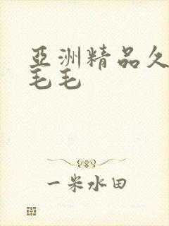 亚洲精品久久久毛毛