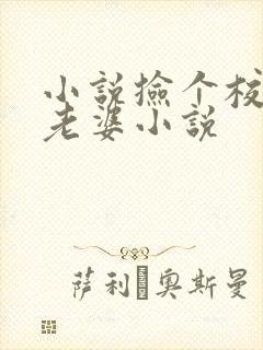 小说捡个校花做老婆小说