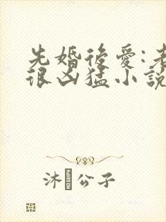 先婚后爱:老公很凶猛小说免费阅读