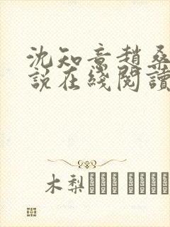 沈知意赵桑延小说在线阅读