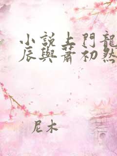 小说上门龙婿叶辰与萧初然